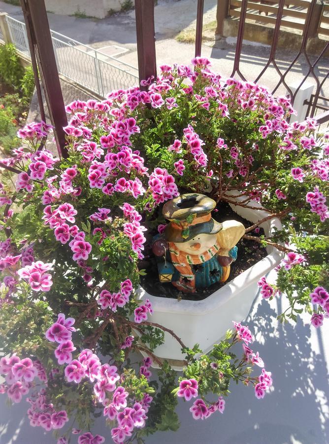 Nada Apartment Bilice Εξωτερικό φωτογραφία